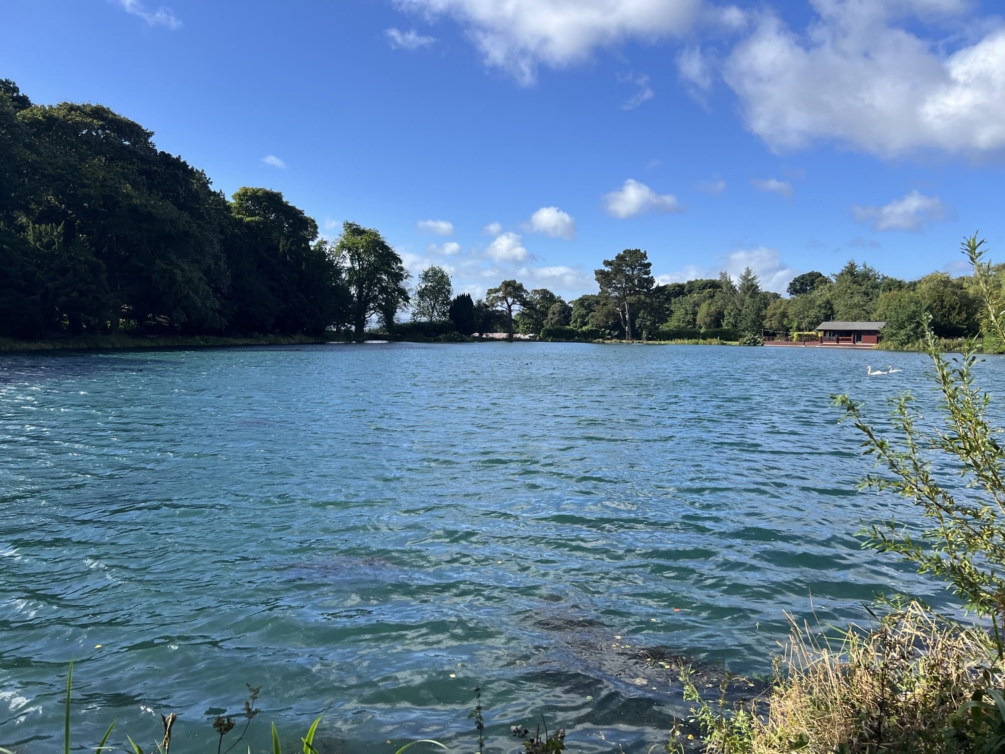 Blue water and big skies over the lake