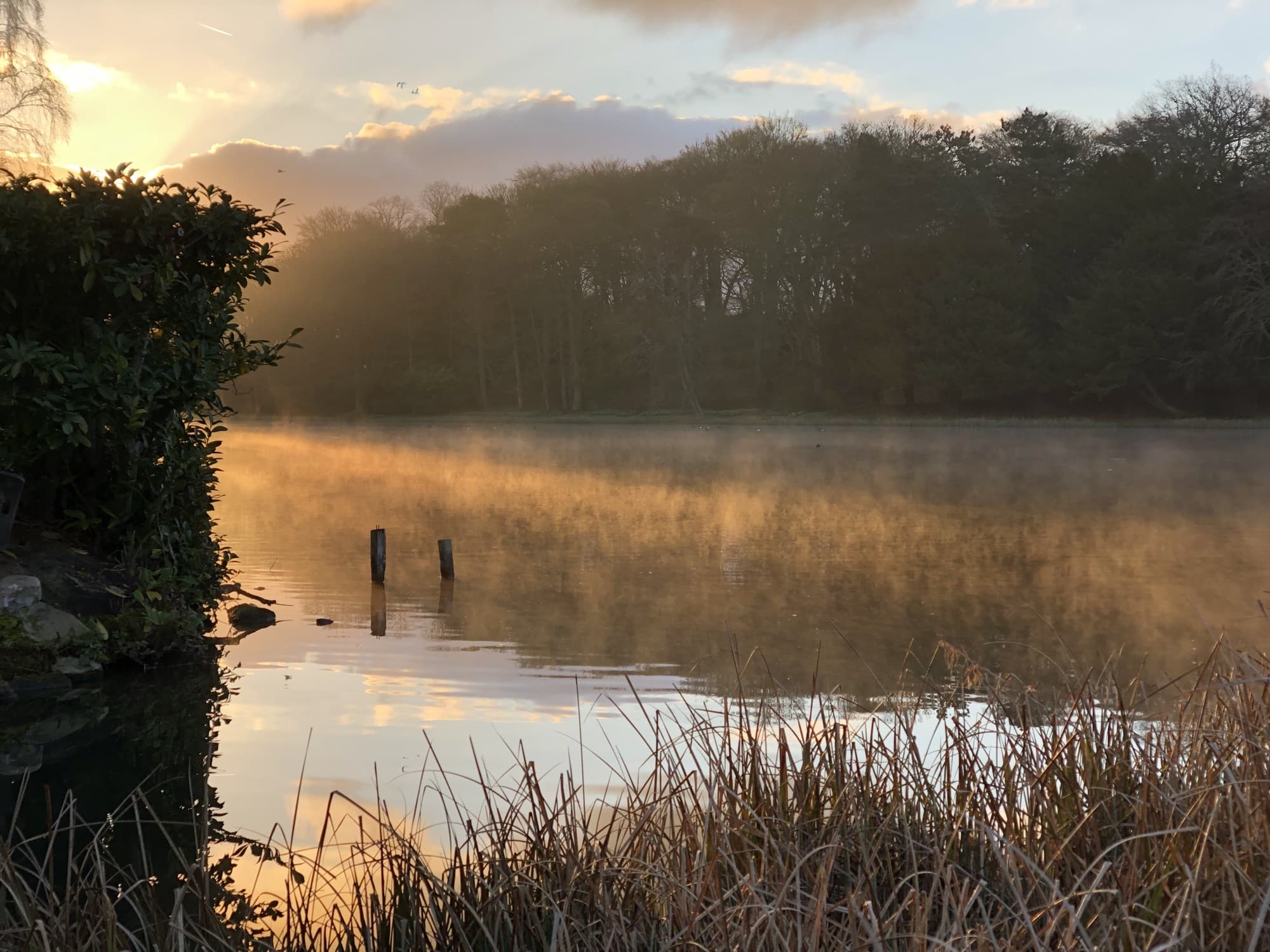 Morning mist glowing gold on the water