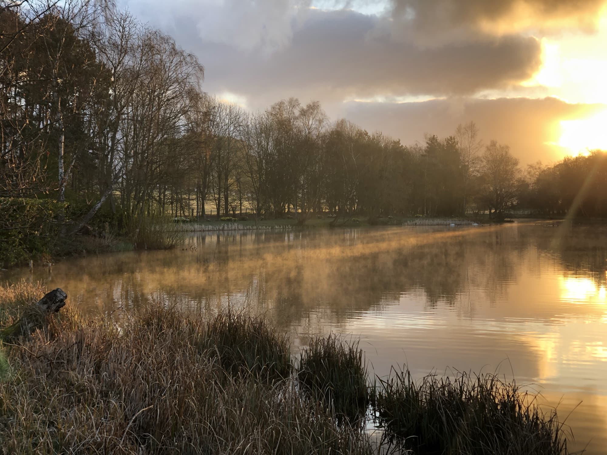 Golden sunrise mist rolling across the lake