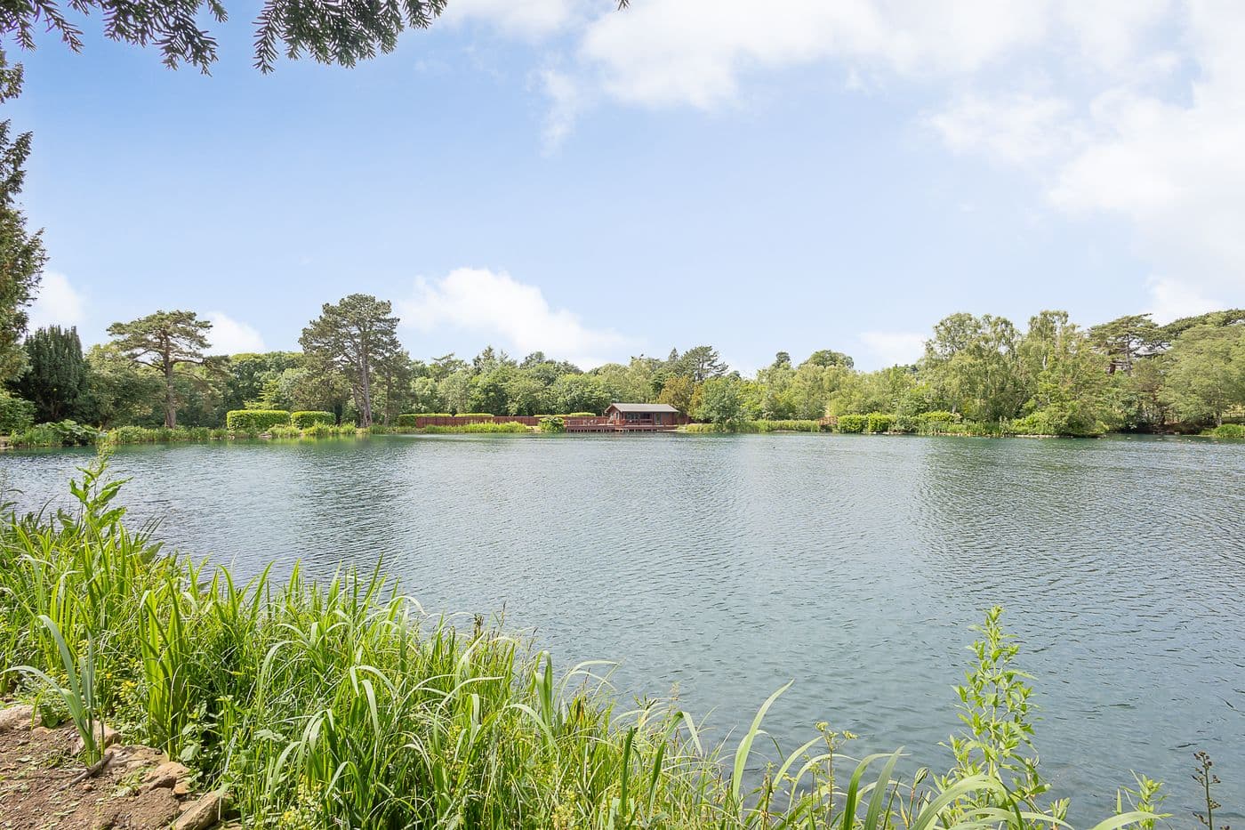 Woodland paths around the lake